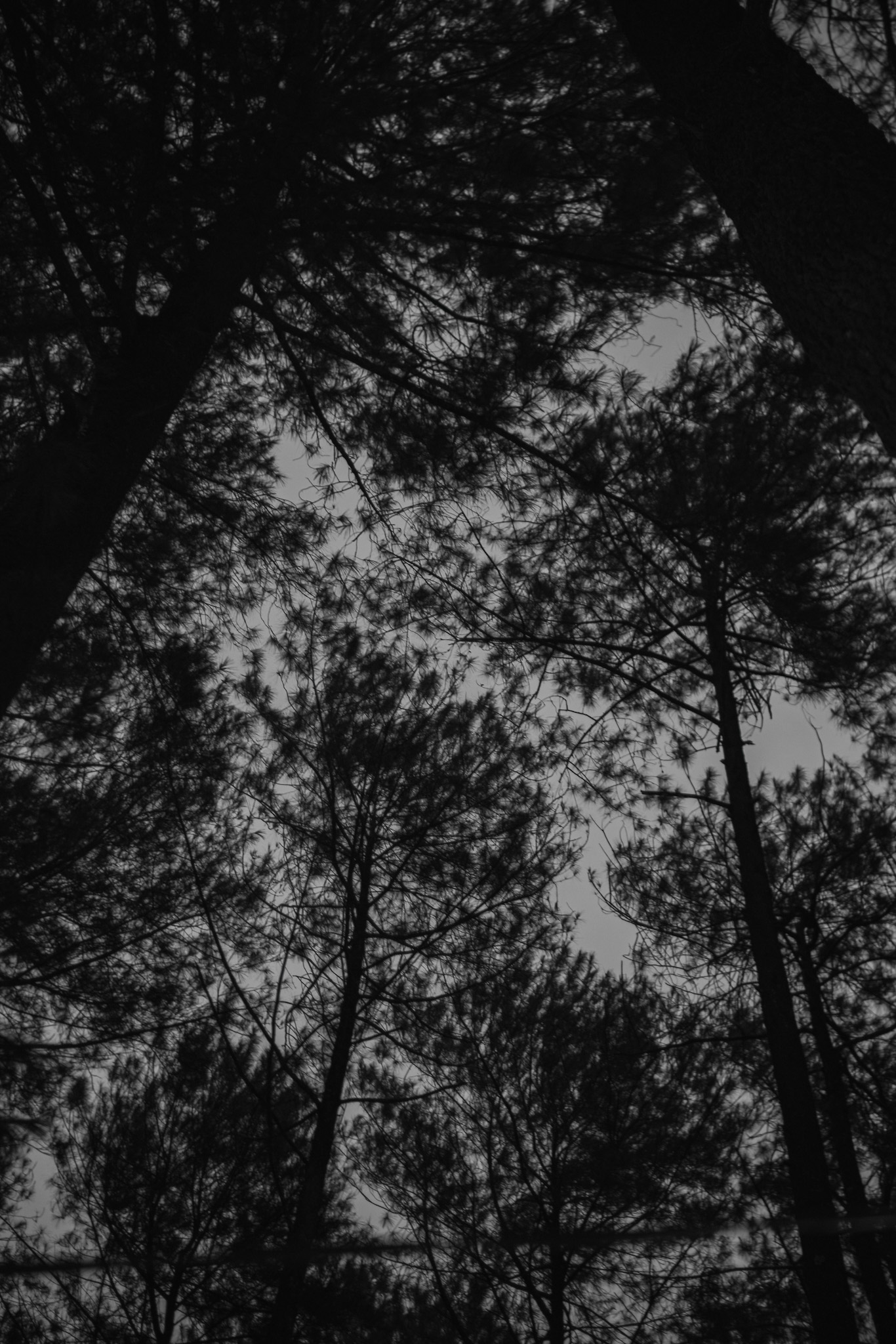 folklore b&w
